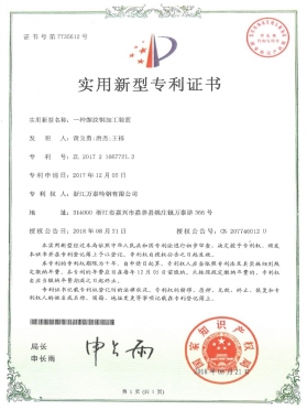 專(zhuān)利 (9)